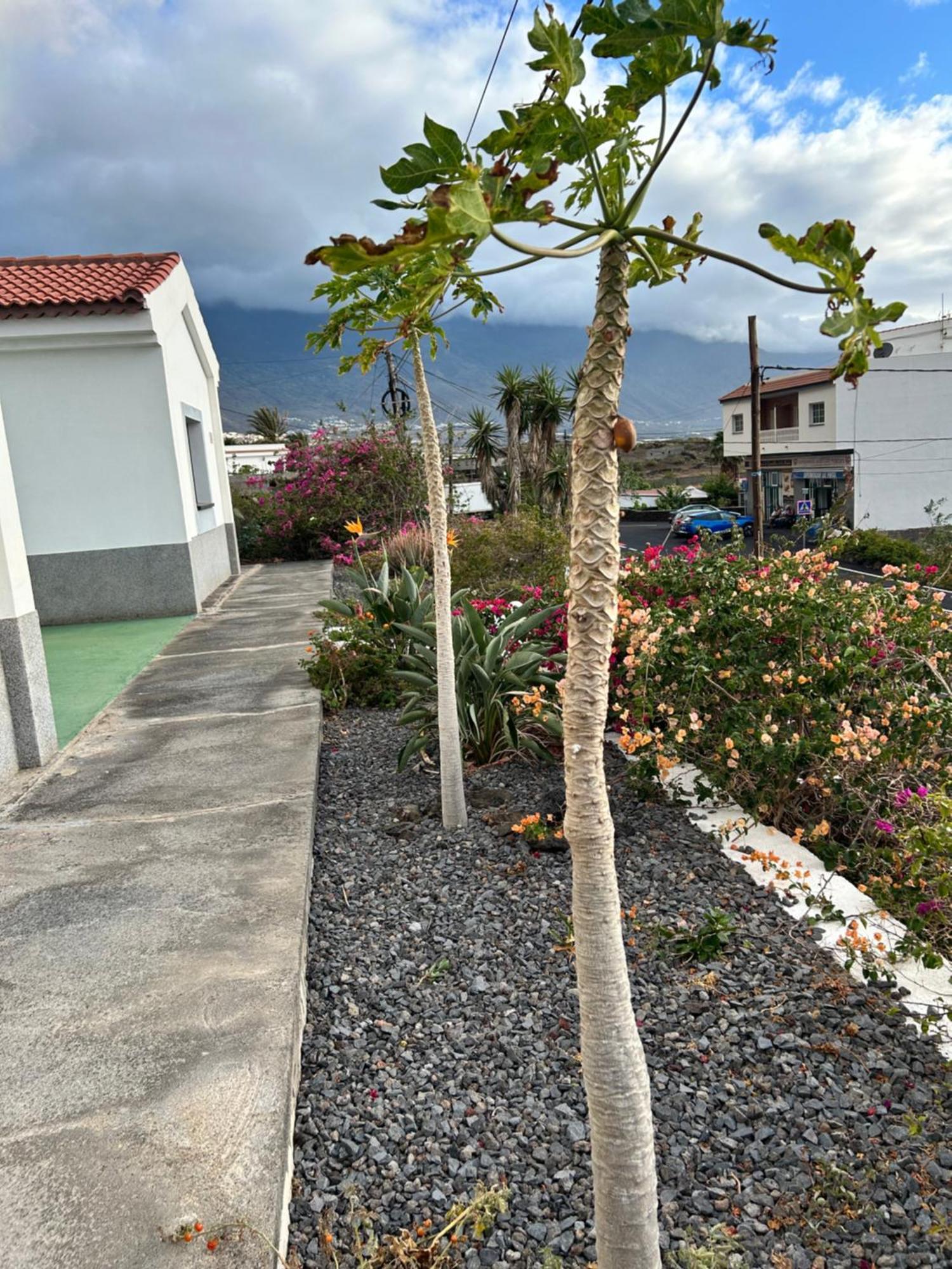 Casa Atilano Puntas La Frontera El Hierro *